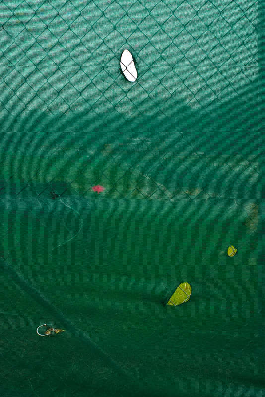 Chip Simone, Green Fence, 2008