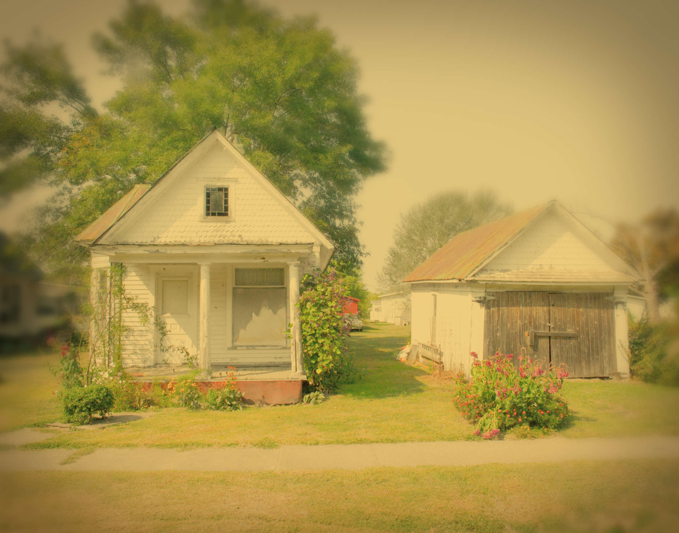 Summer in Xenia, IL
