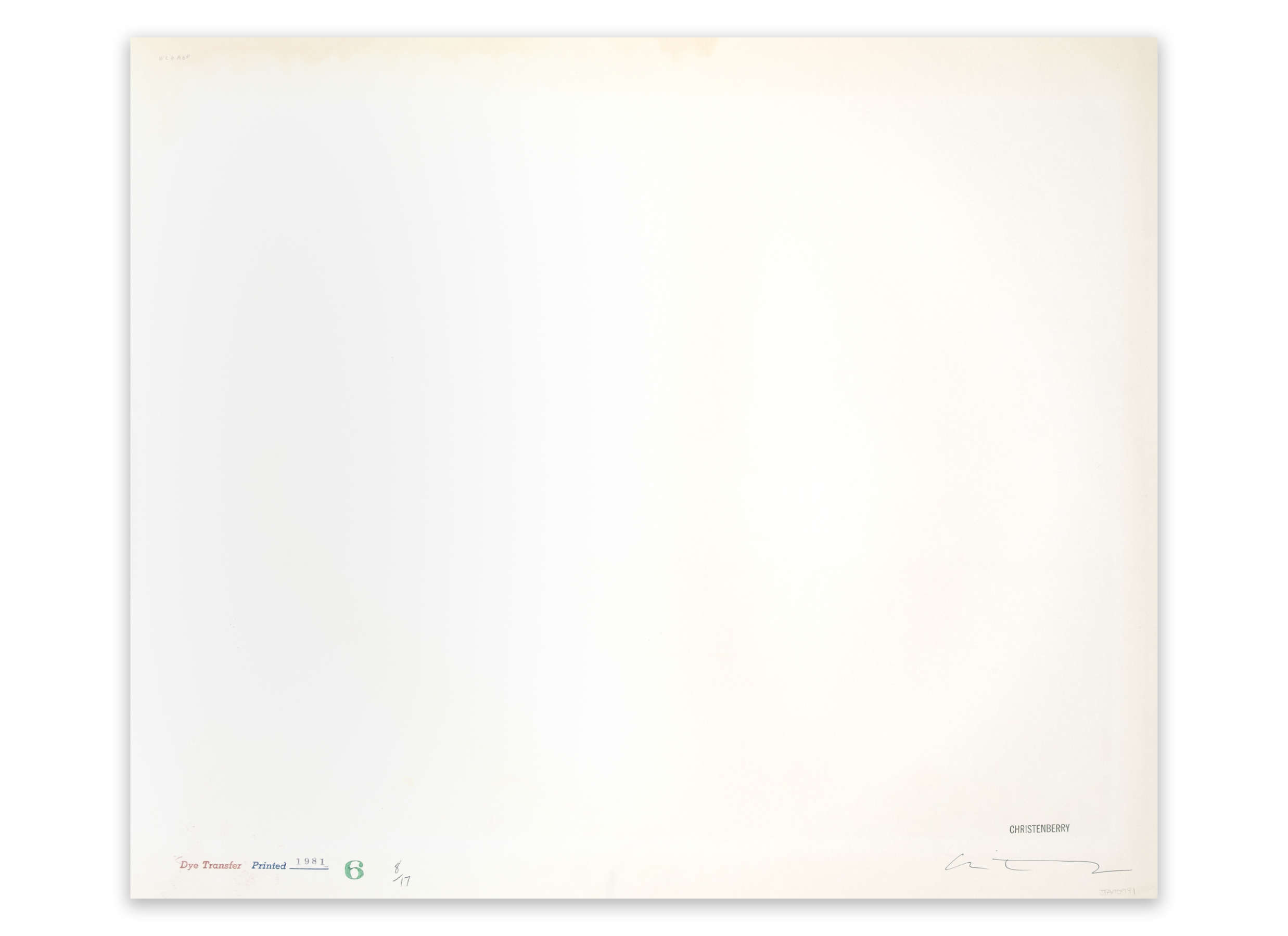 Gourd Tree, near Akron, Alabama