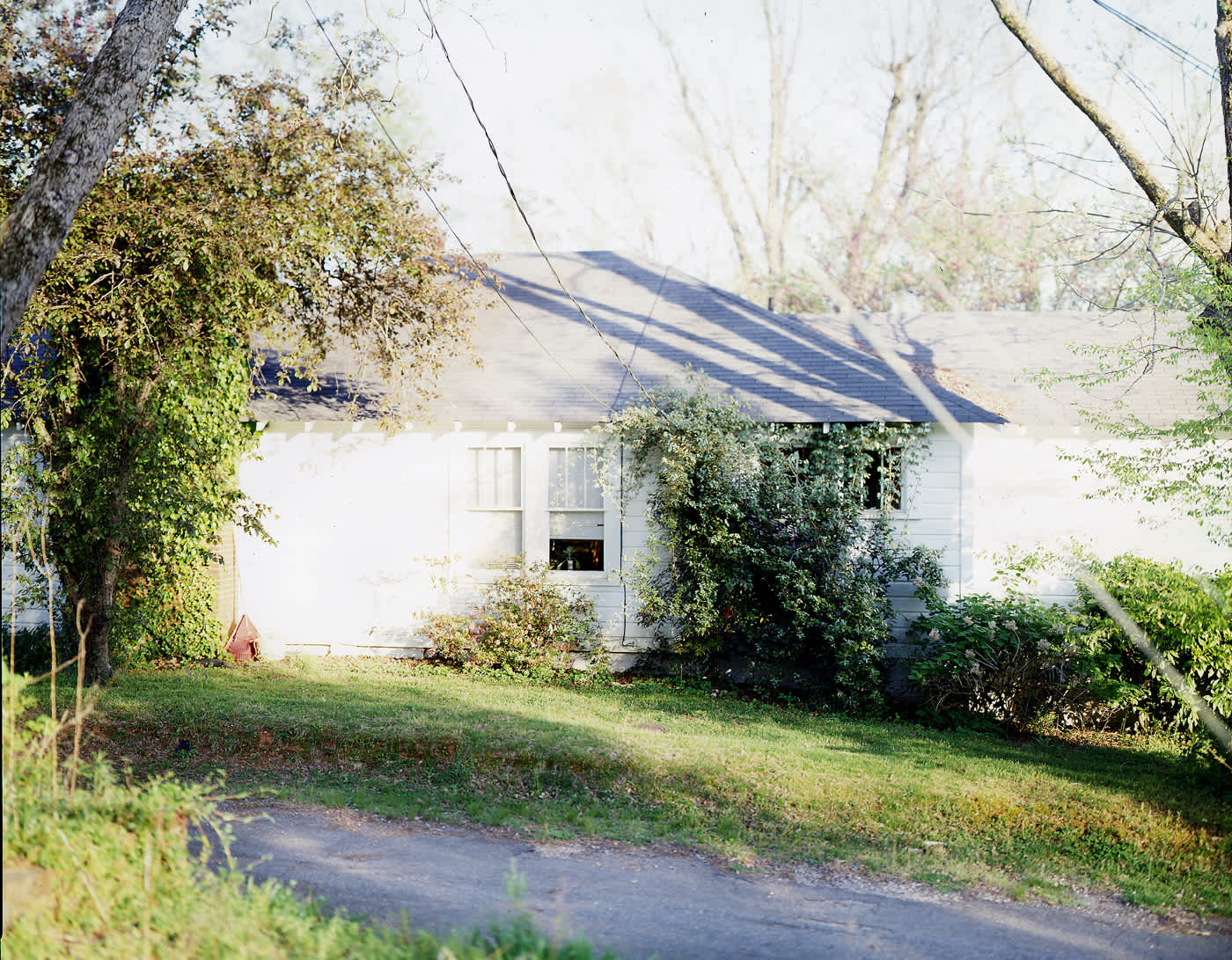 Angela West, Overexposure, 2006