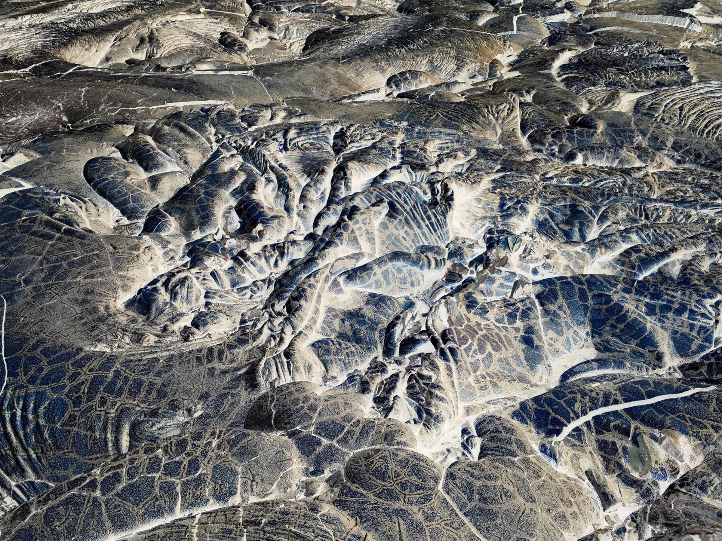 Untitled #729700FC (Tree in snow, Yosemite)