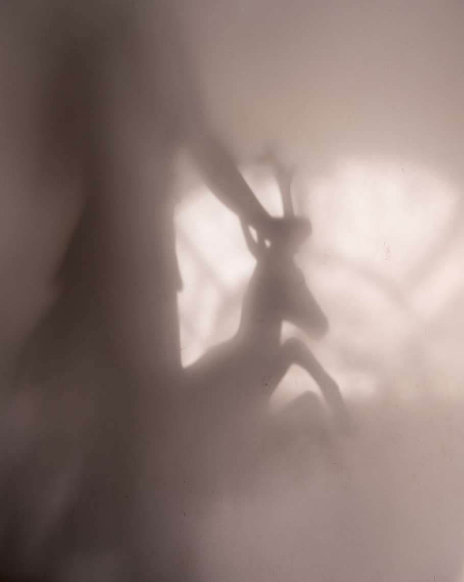 Artemis, Reflecting on the Wall