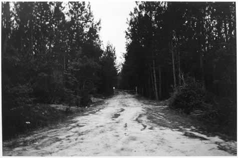 Sam Taylor-Wood, Gate, Georgia, 2004
