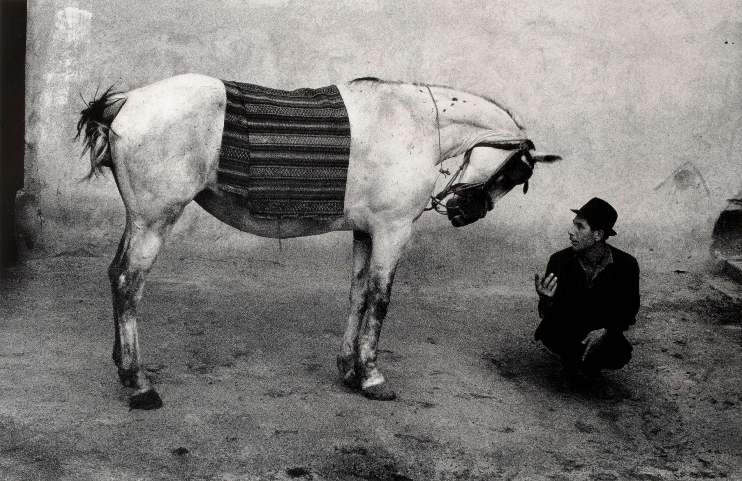 Rumania (gypsy and horse)