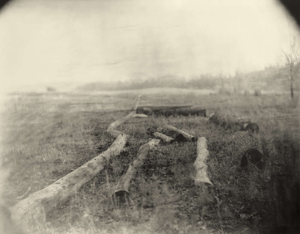 Georgia Untitled (Snake Log)