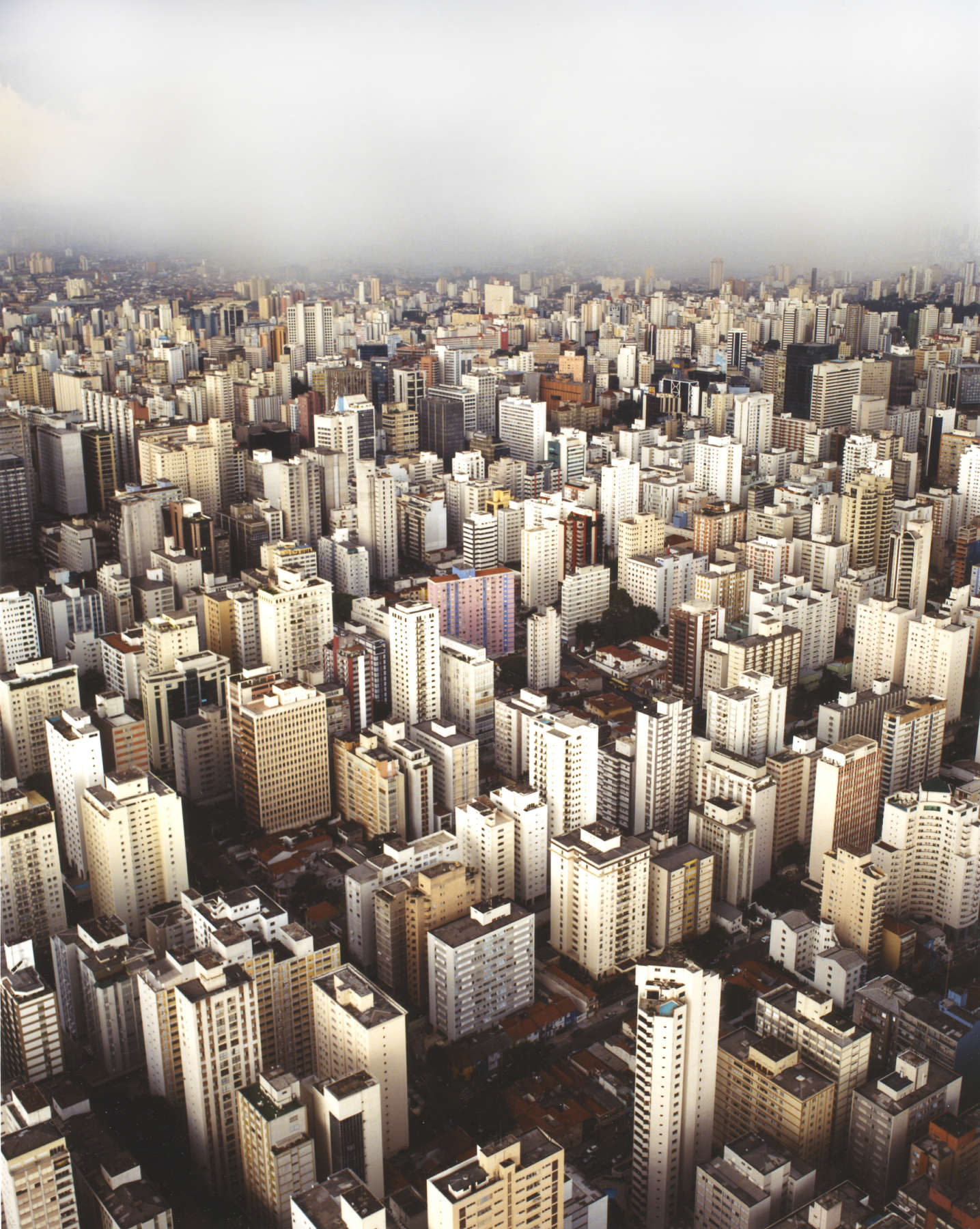 Scott Peterman, SP203B, 2005