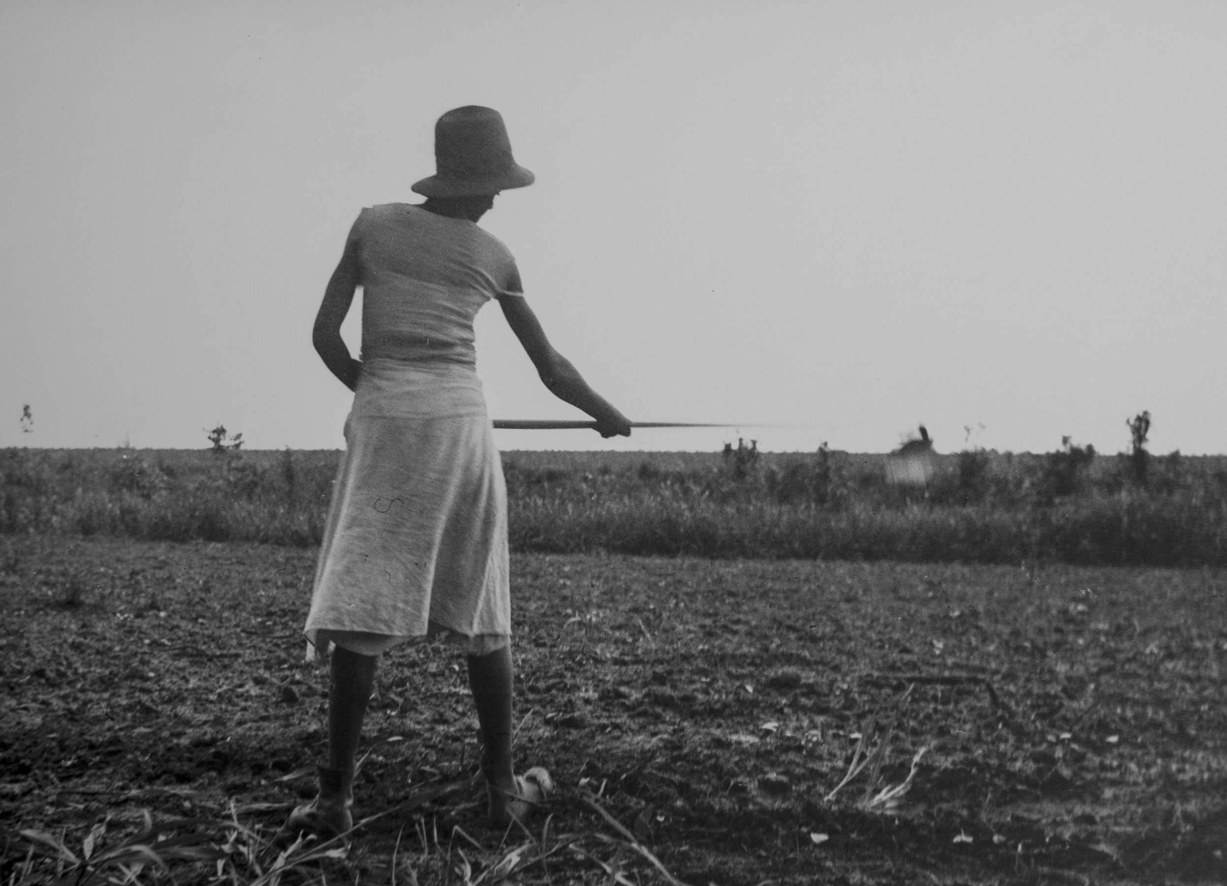 Eudora Welty Twenty Photographs Portfolio: Chopping in the Fields