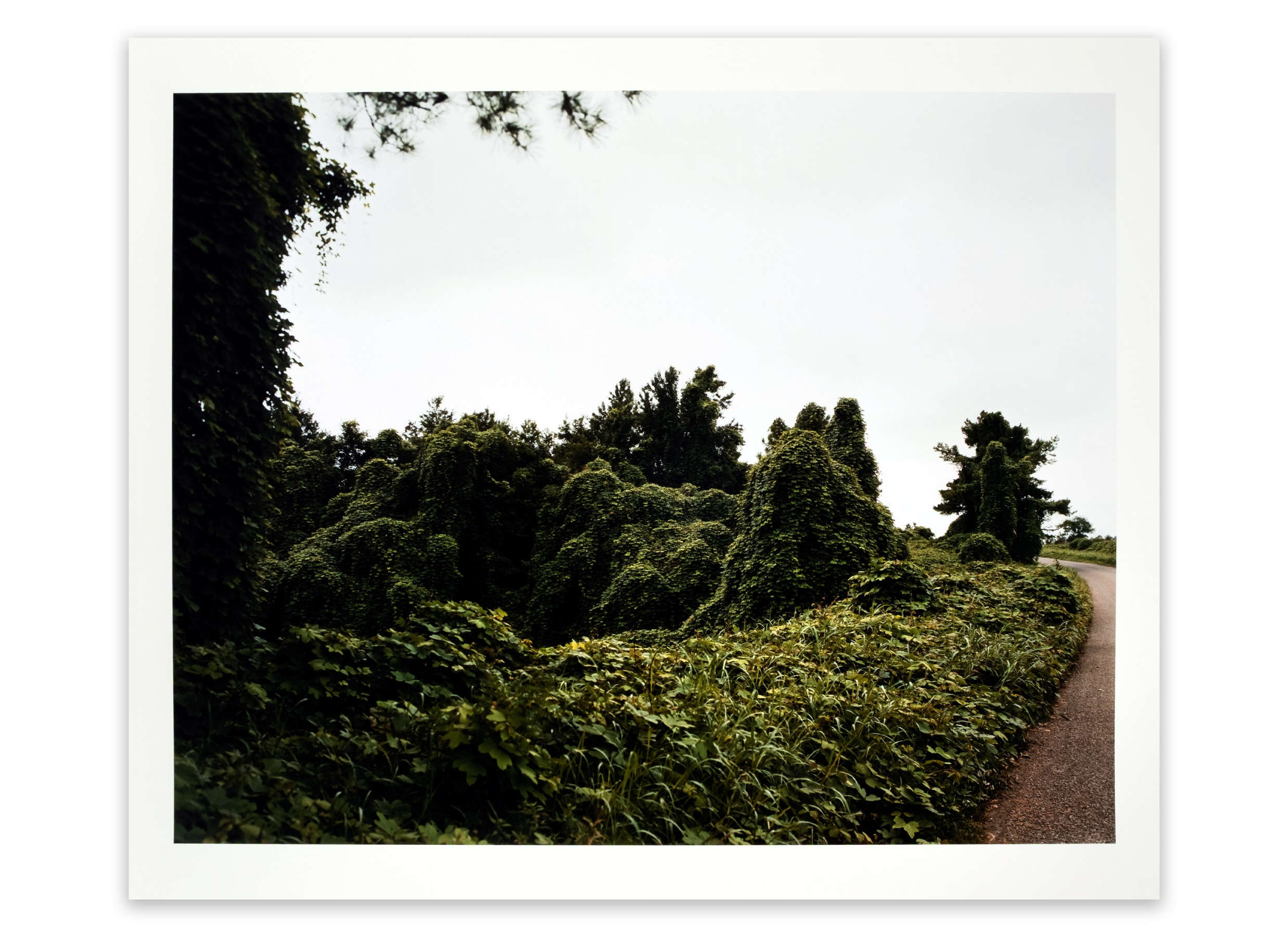 Dr. Riegler and J. Greno, Munich