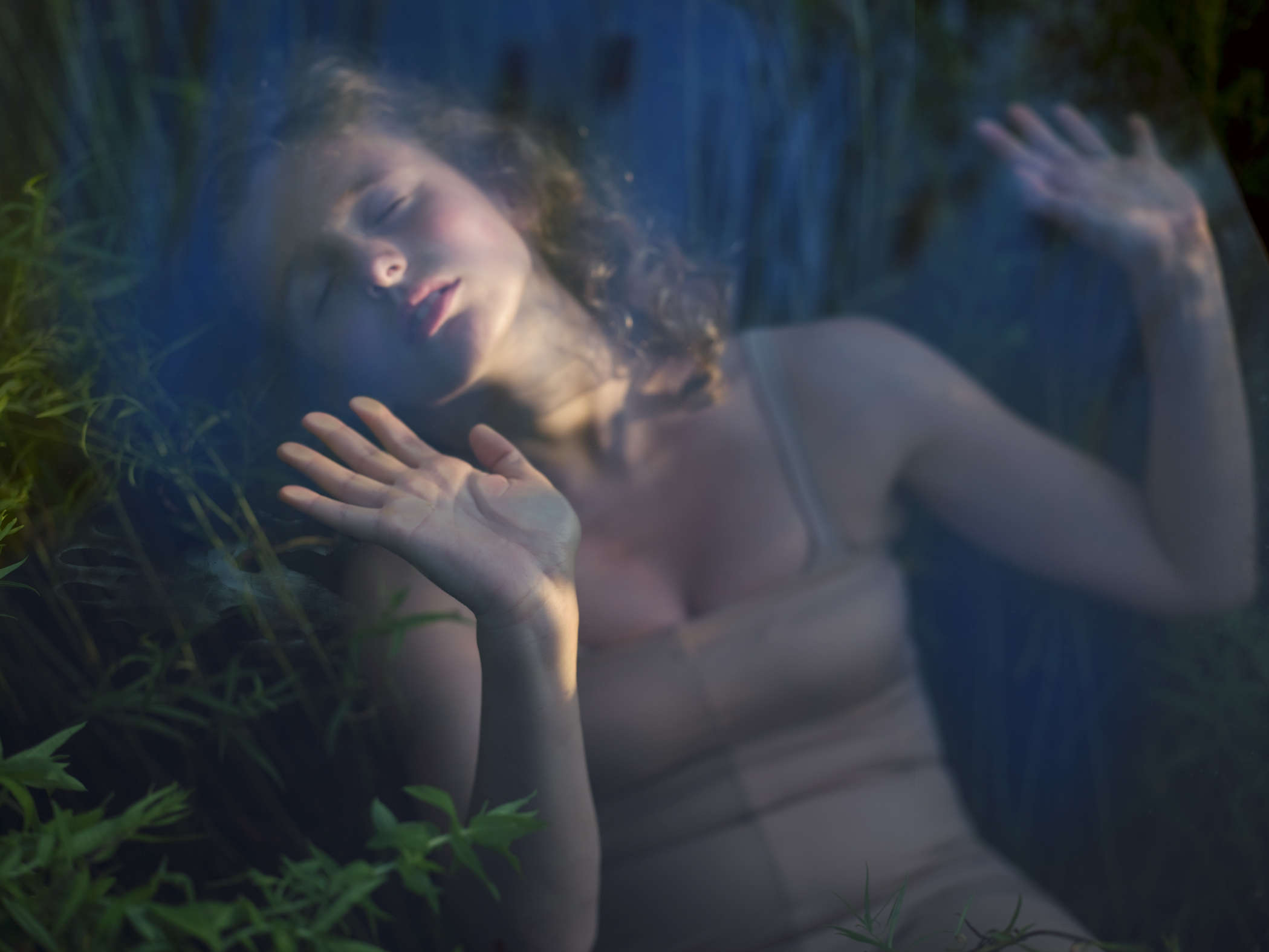 Untitled #4, The Garden Document 