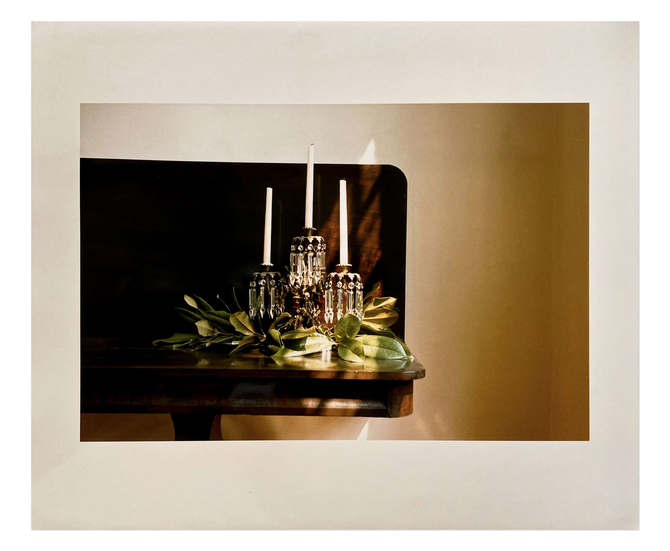 Untitled (house with vine)