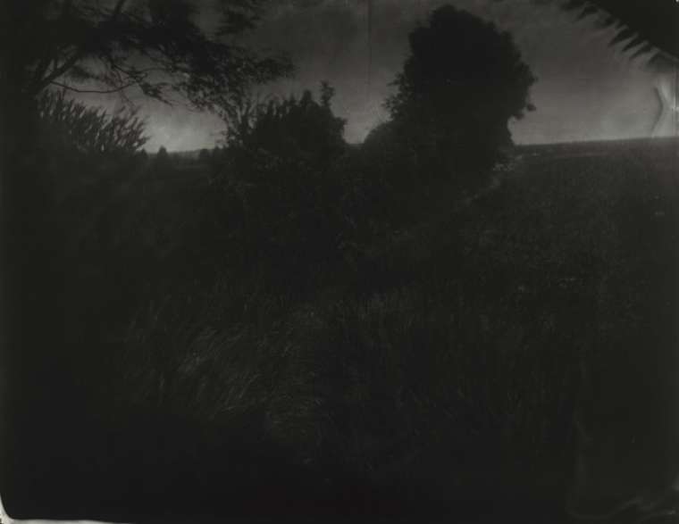 Battlefield, Untitled, Antietam (Boy's Trail)