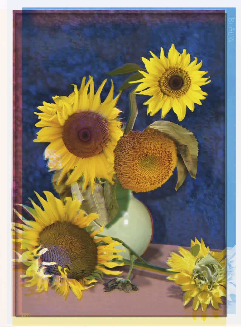 Van Gogh #6