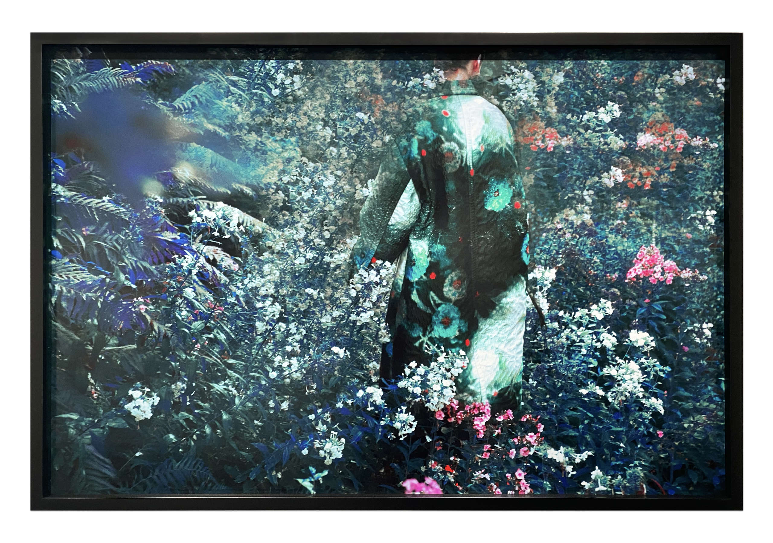 Turquoise and Pink Garden, The Garden