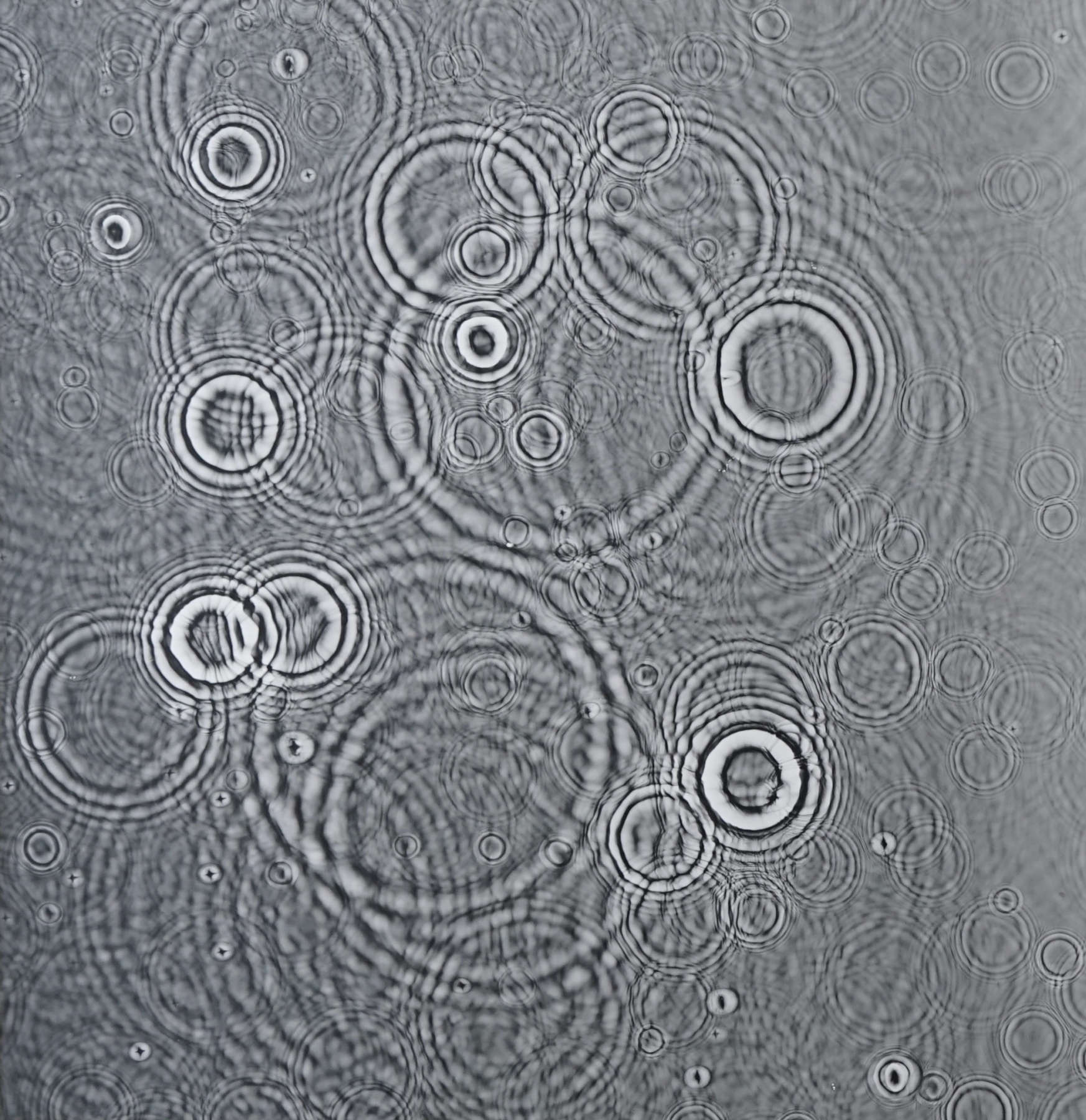 Untitled, (Droplets)