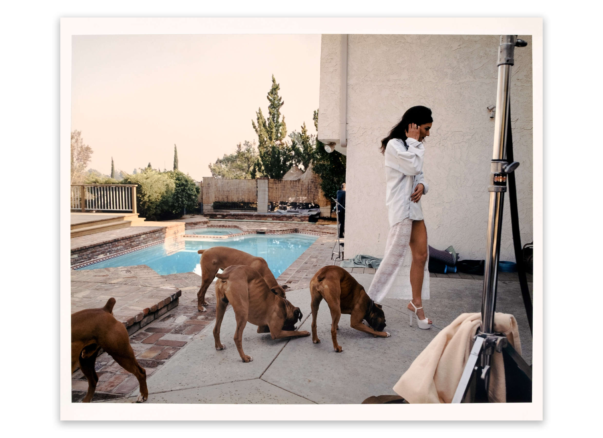Boxers, Mission Hills