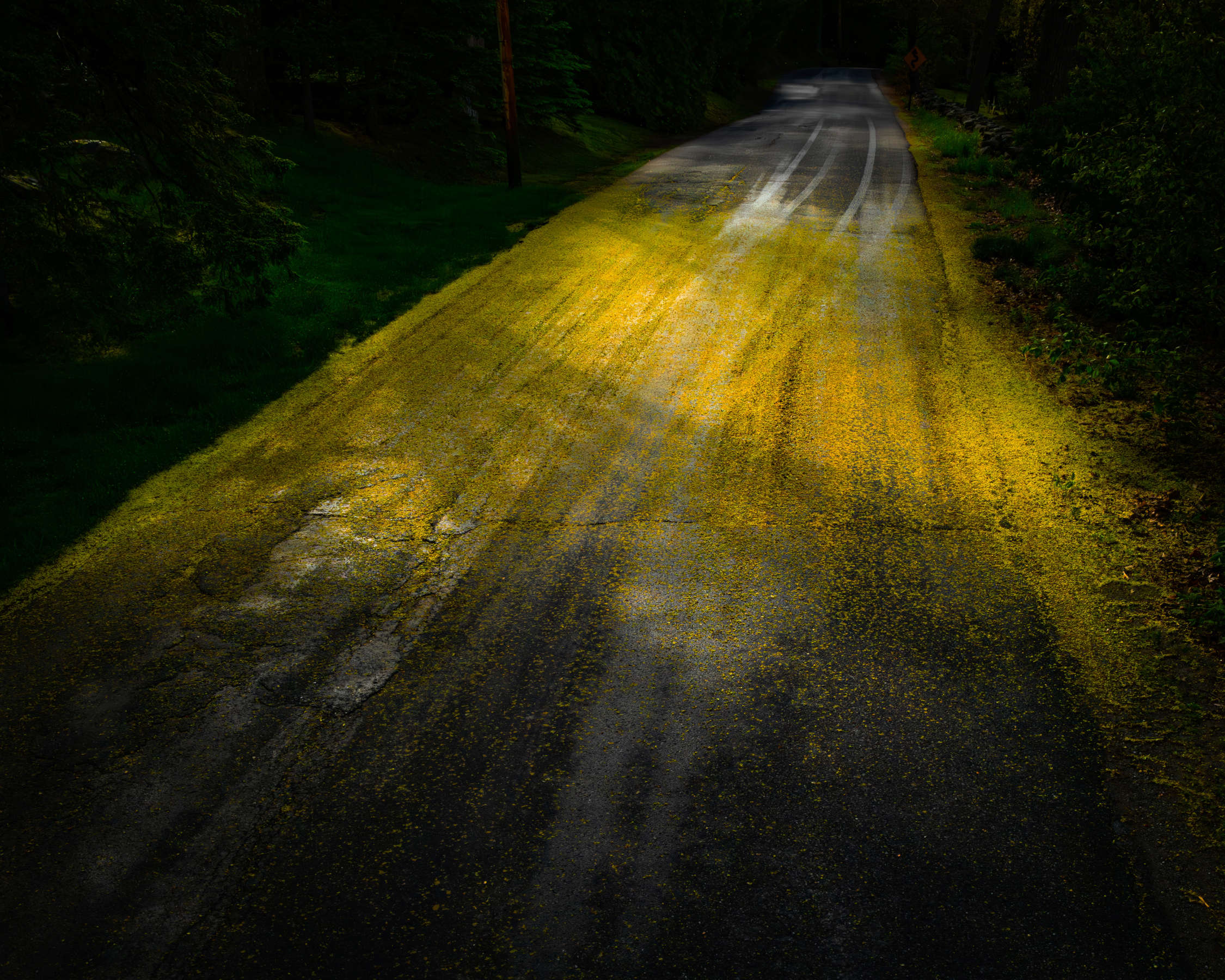 Gold Road, Camden