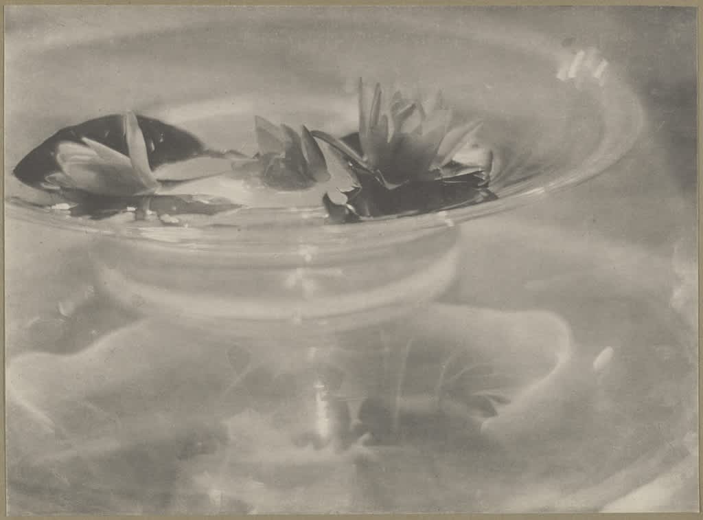 Glass Bowl with Water Lilies