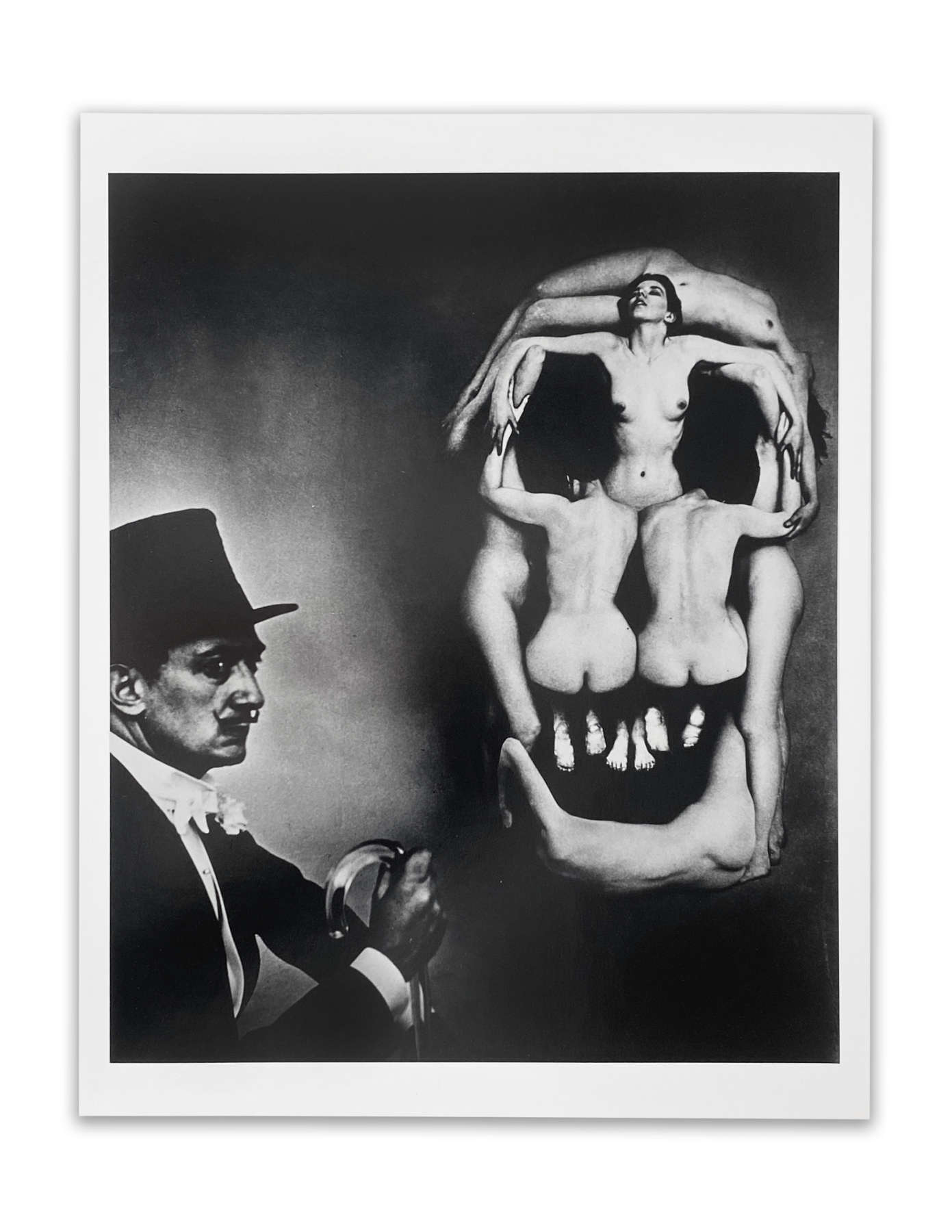 Dali Portfolio