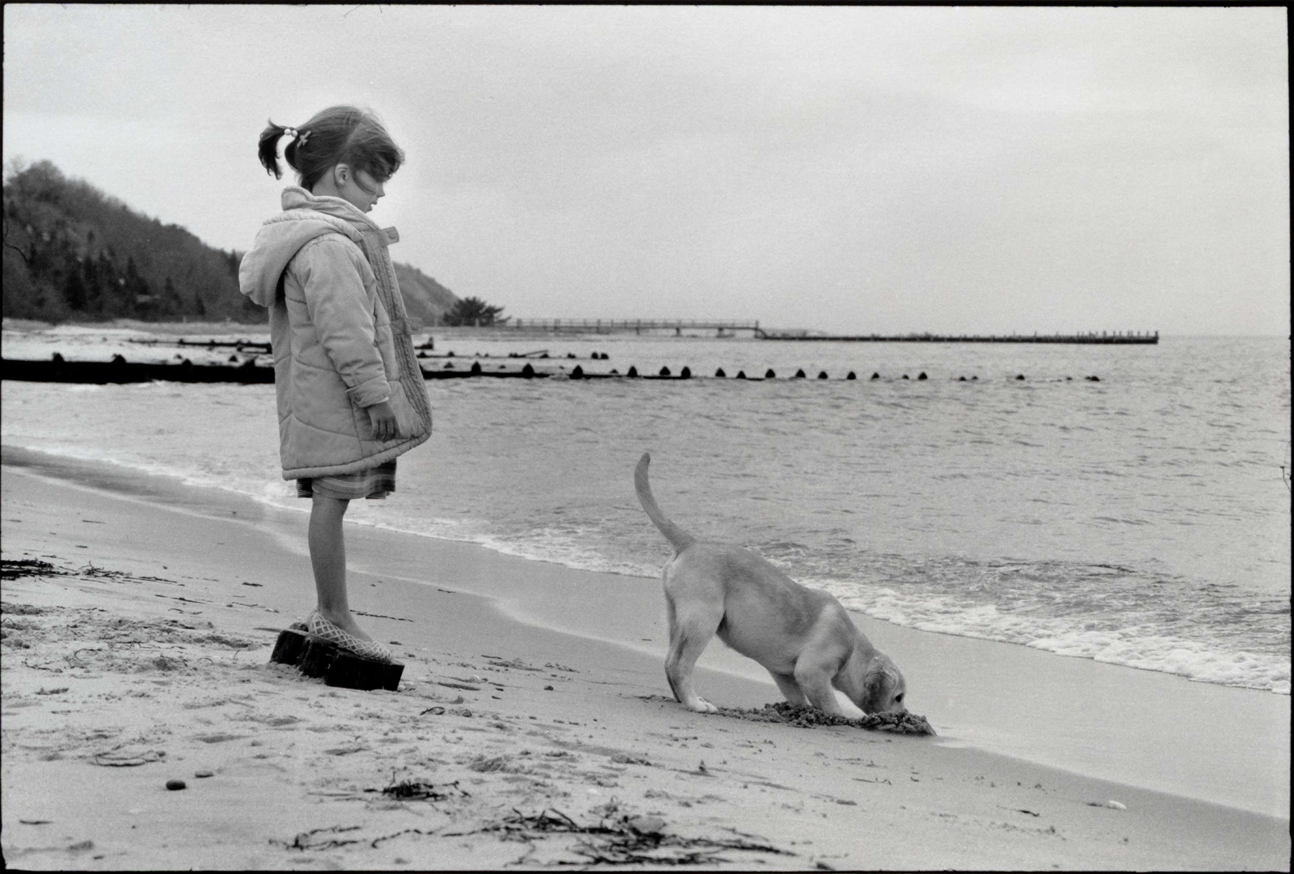 Amagansett, New York