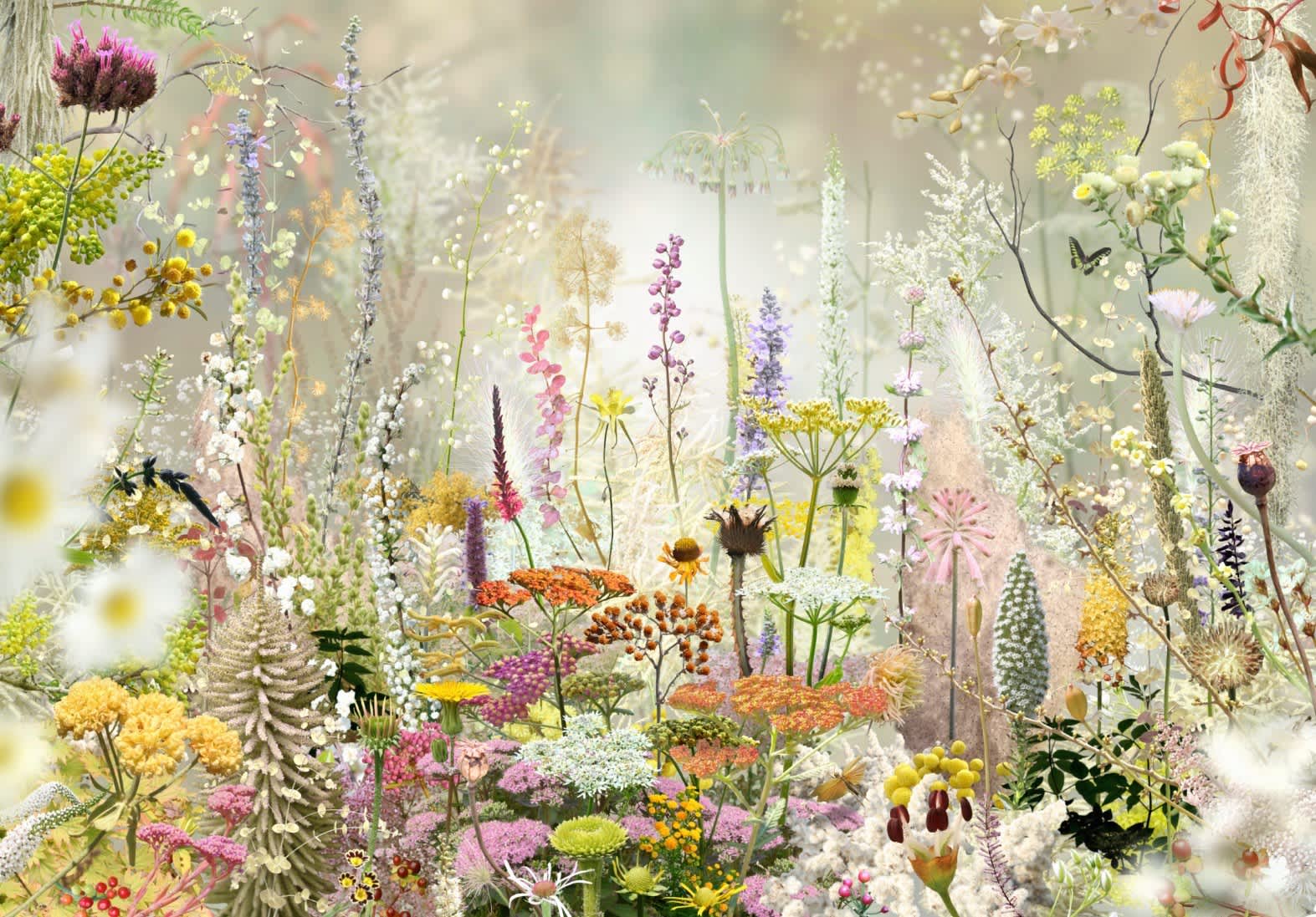 Floresta #10