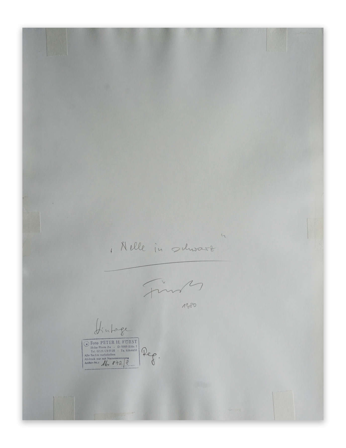 Boy at Stock Show, Fort Worth, Texas