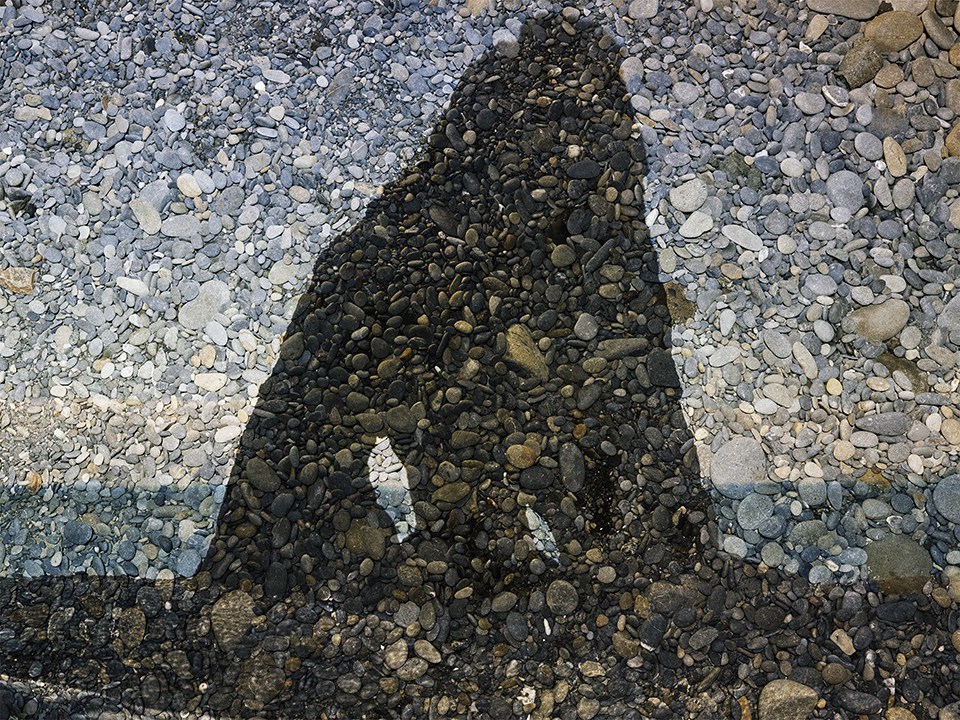 Tent-Camera Image on Ground View of Sea Stack. Ruby Beach. Olympic National Park, Washington