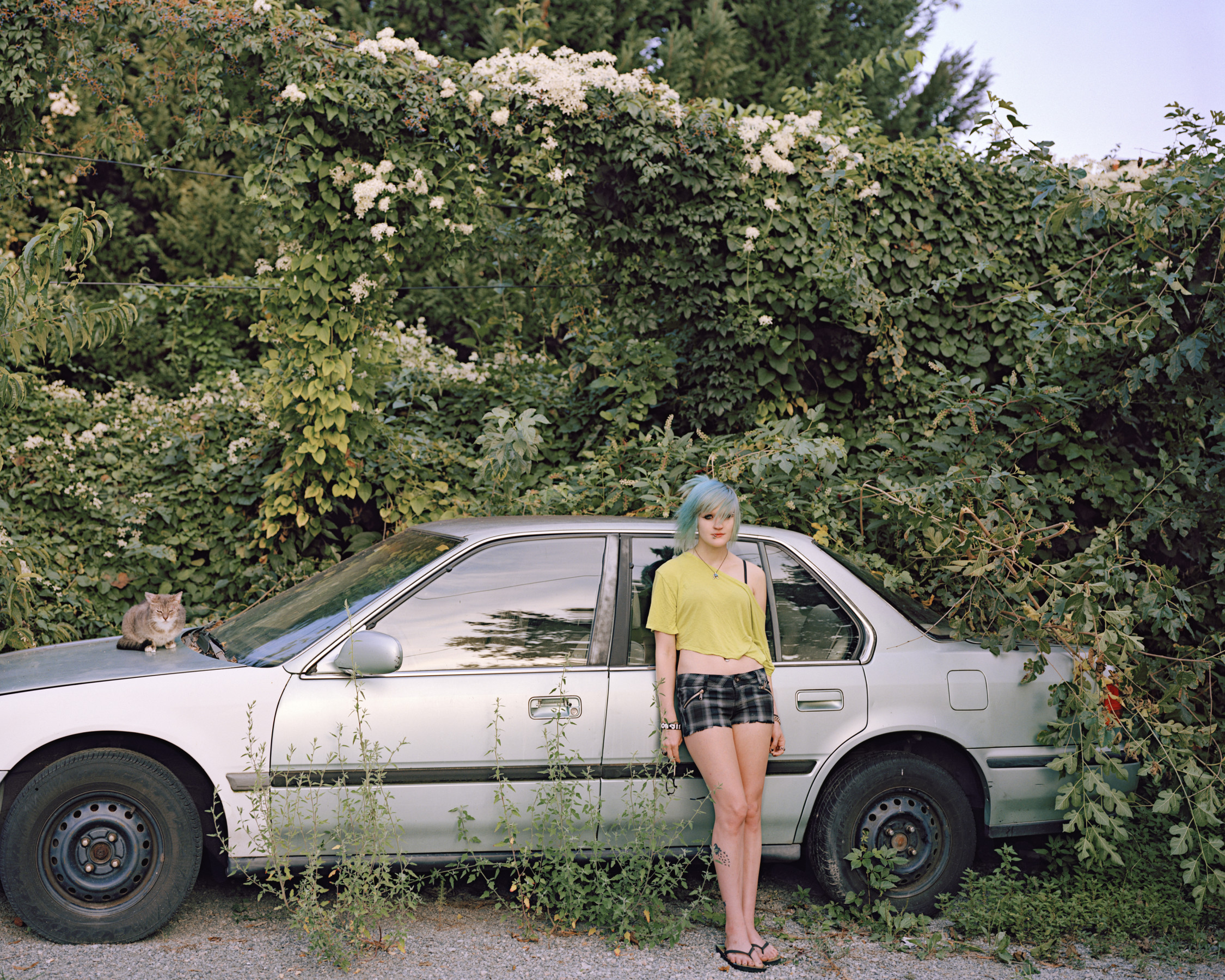 Girl with Cat, VA