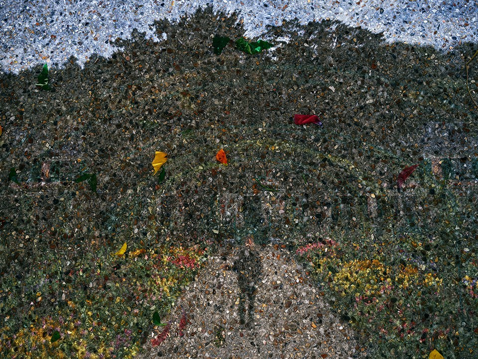 Tent-Camera Image on Ground: Monet's Gardens in Early Morning Light, Giverny, France
