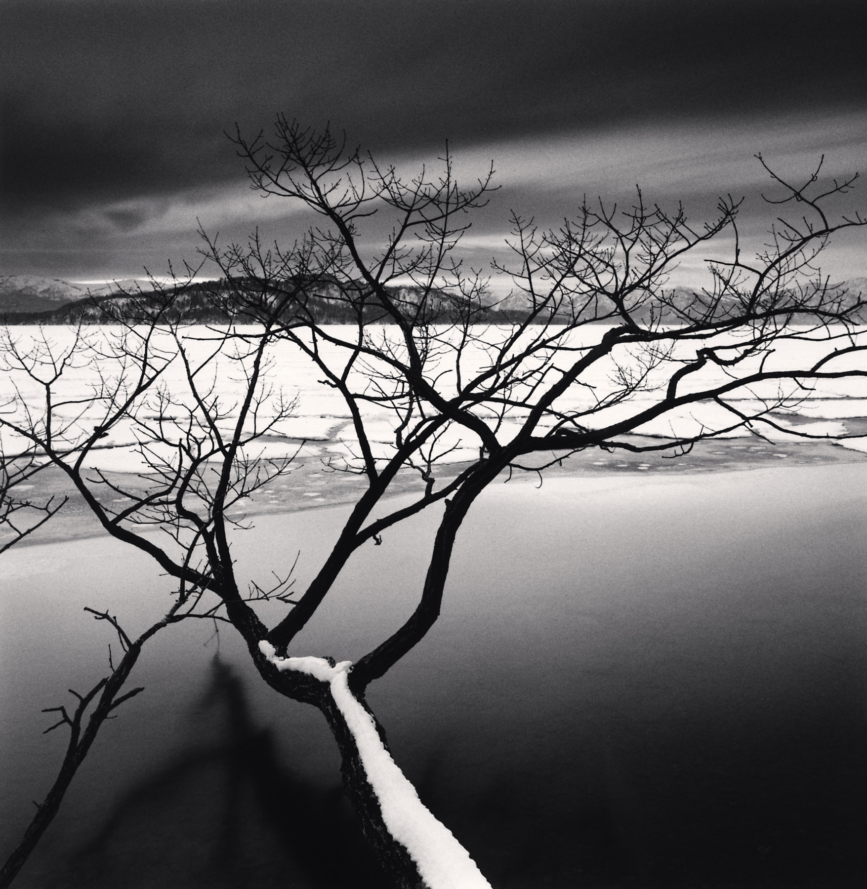 Kussharo Lake Tree, Study 11, Kotan, Hokkaido, Japan