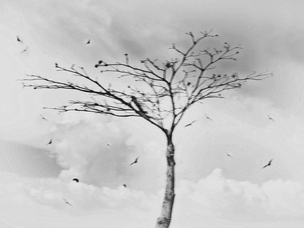 Untitled from the series Mukono