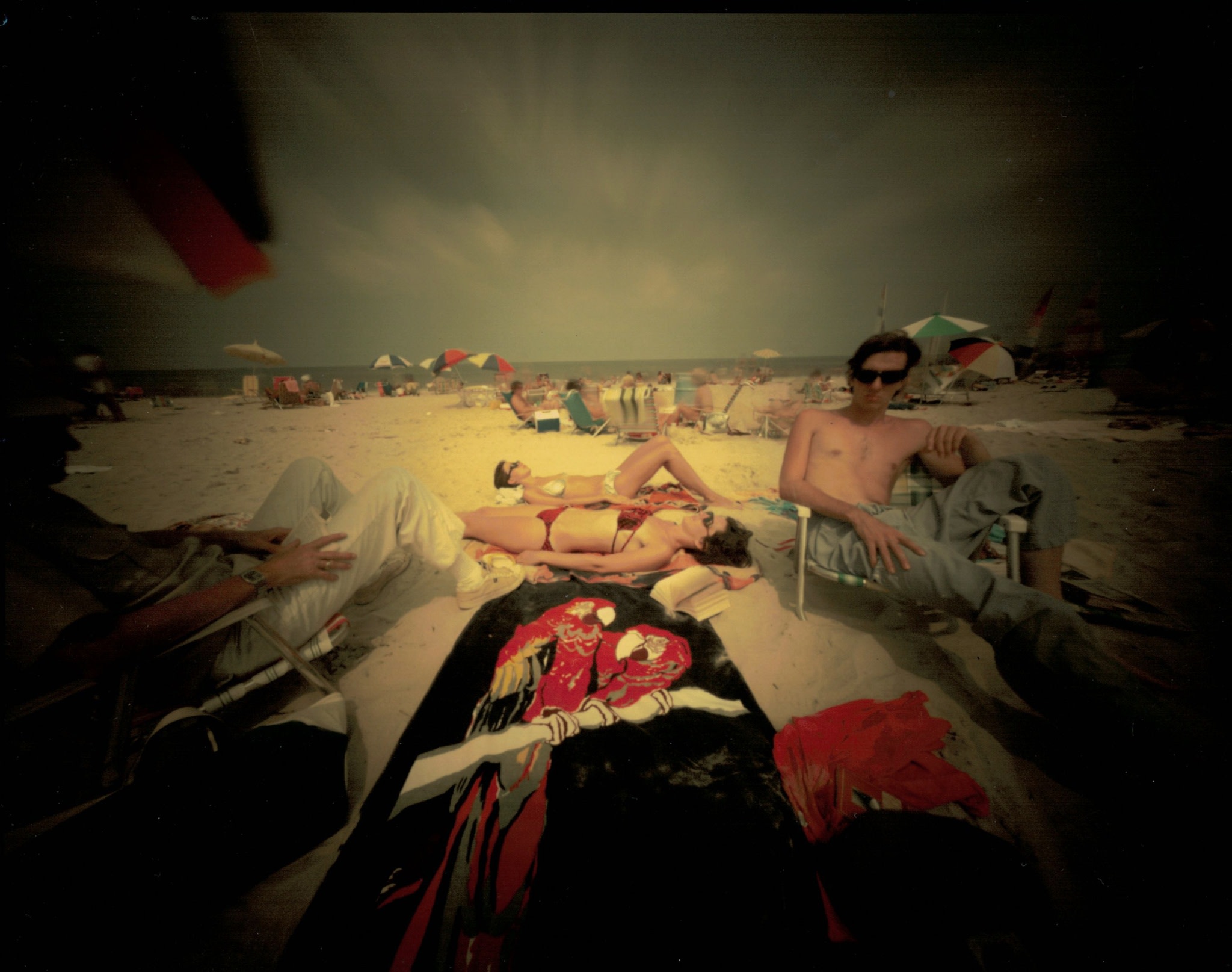 Virgina Beach, Virgina: Parrot Towel - Jack and Group #3