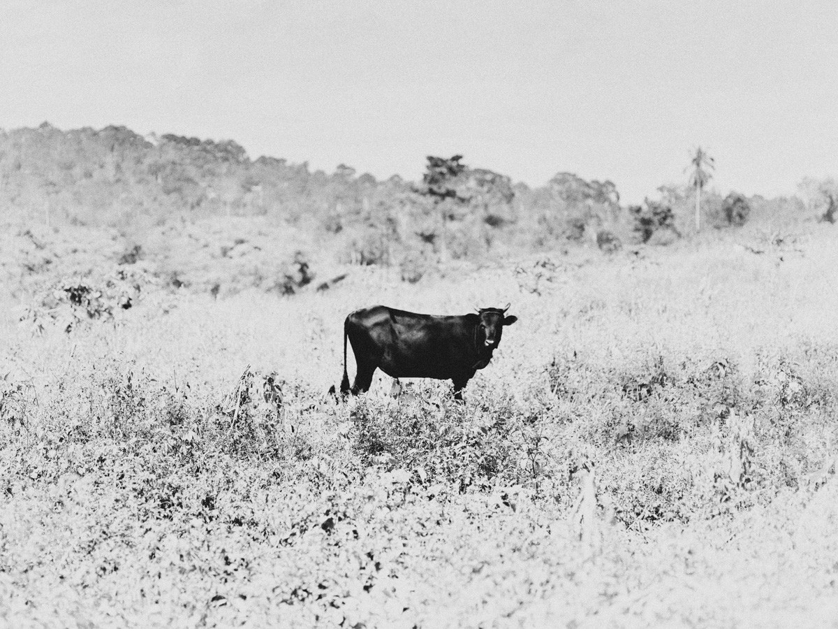 Untitled from the series Mukono