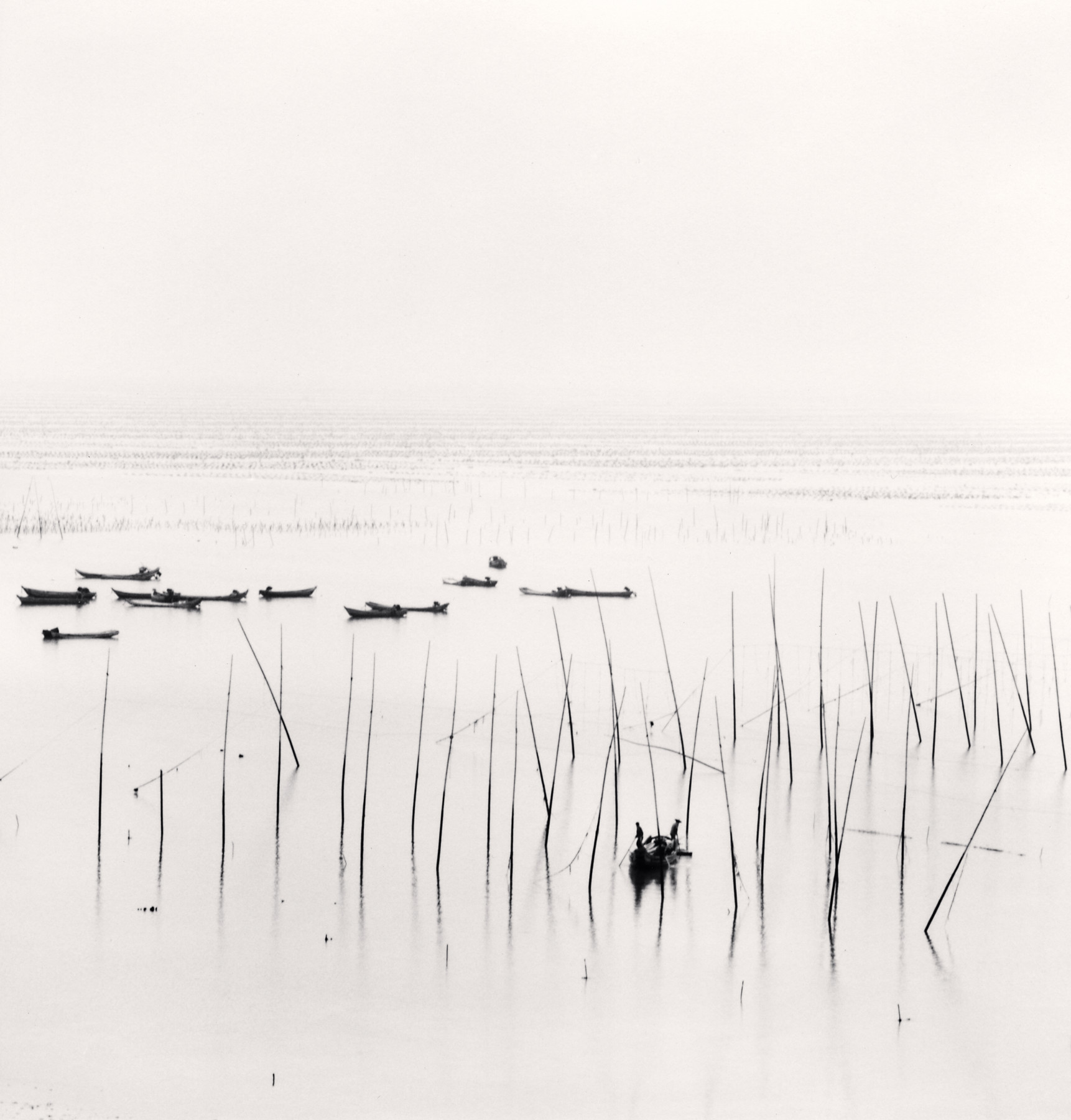 Seaweed Farms, Study 2, Xiapu, Fujian, China