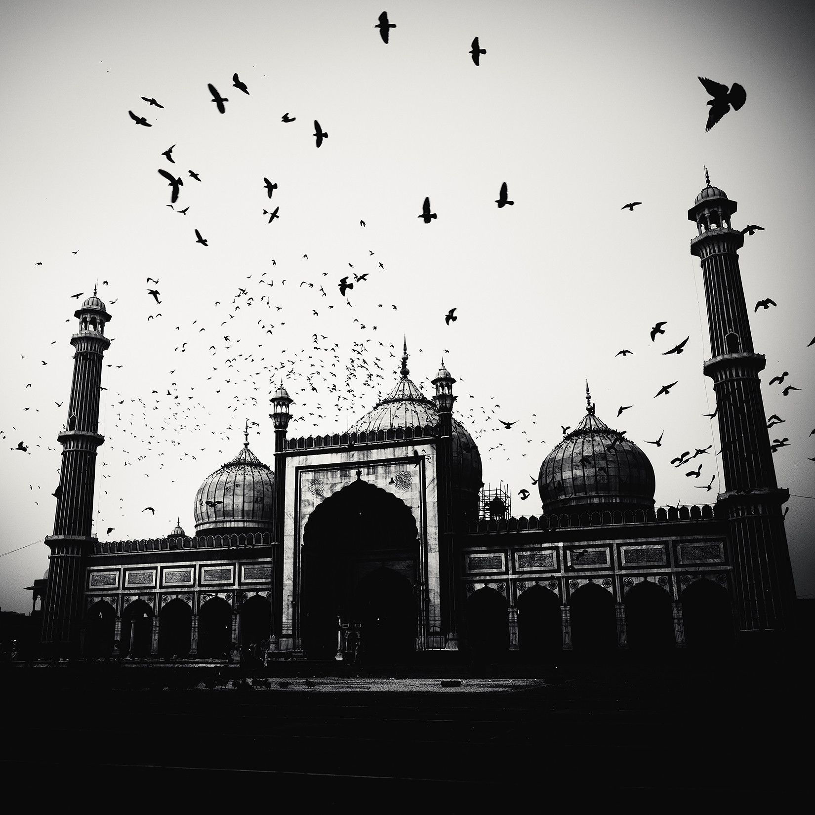 Mosque and Birds, India