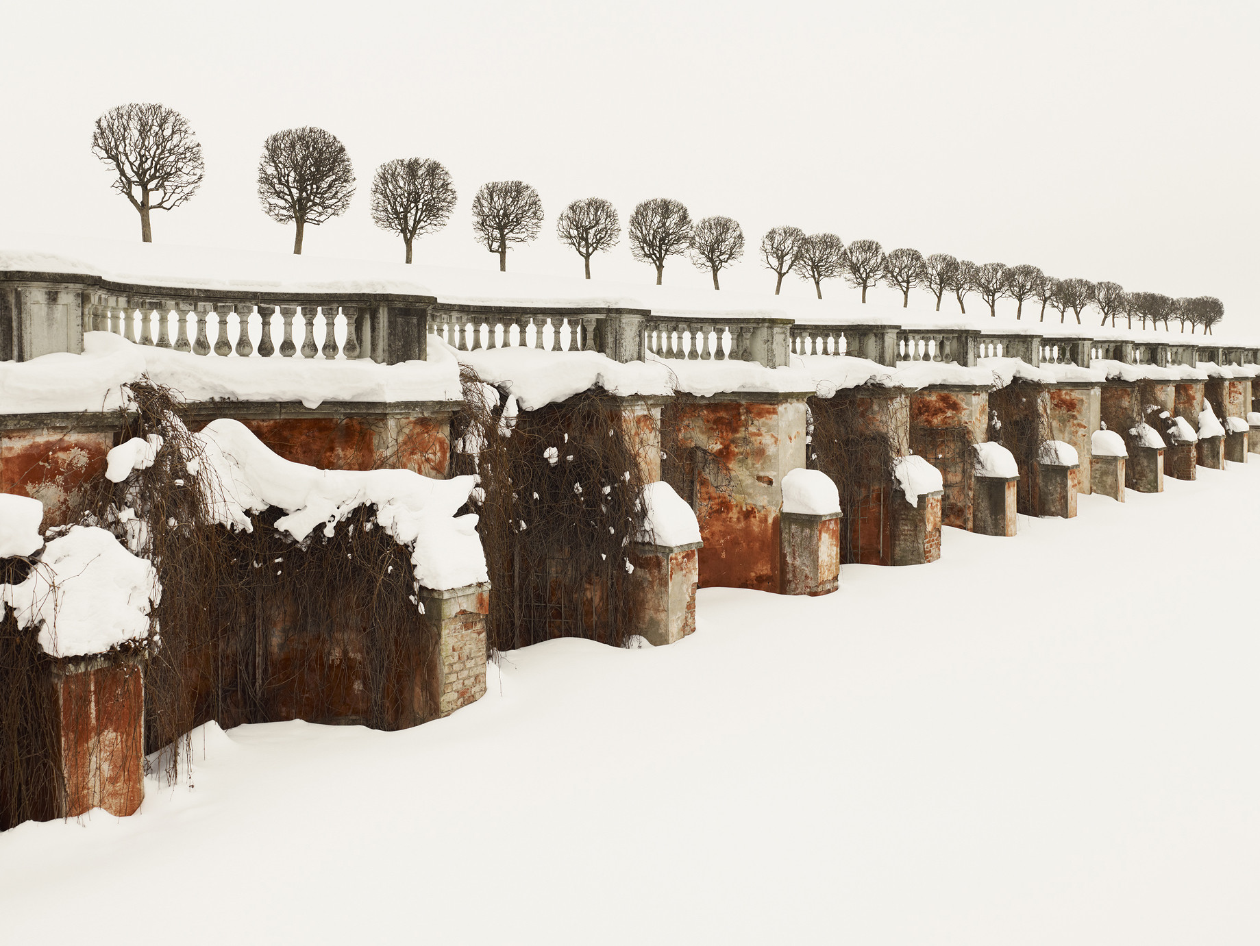 28 Trees, Russia
