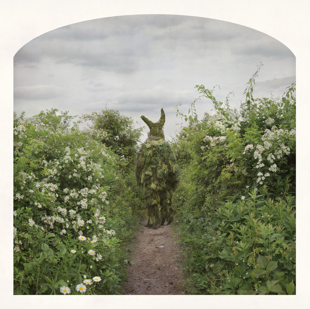 On a Flowering Path