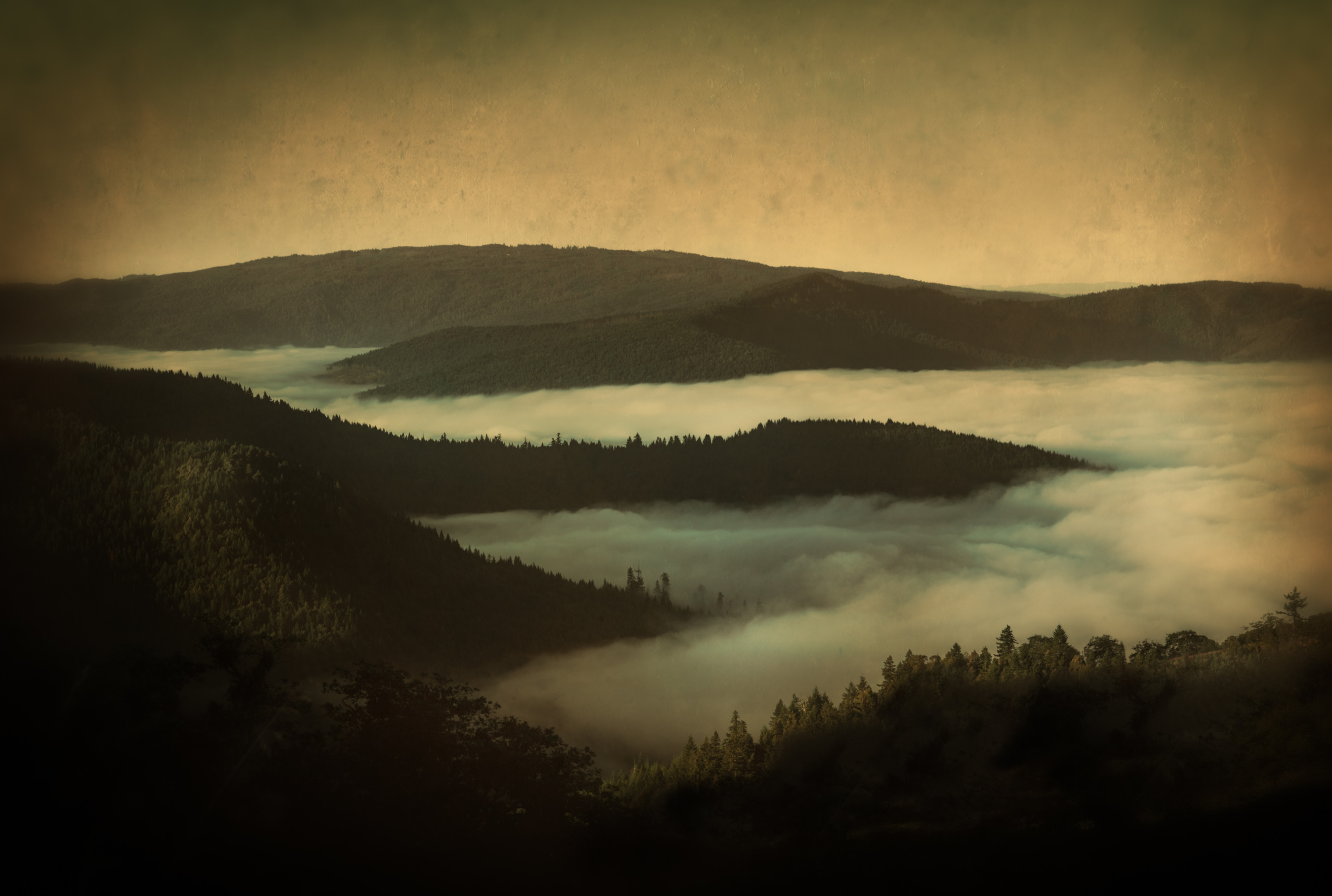 Above the Fog, Eureka, California