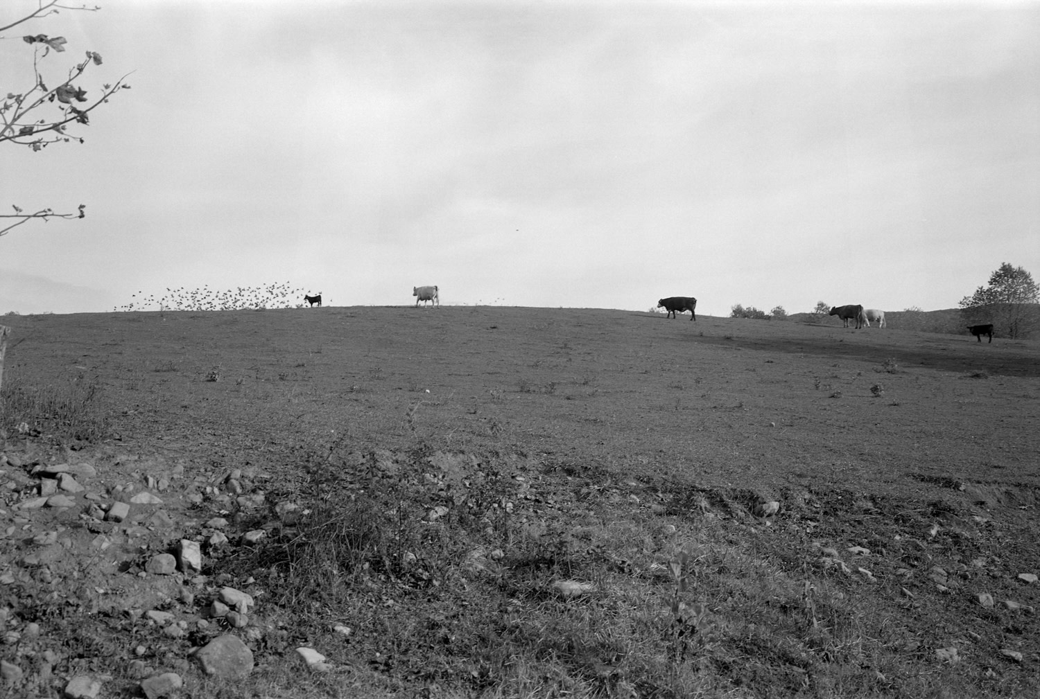 Carter County, Tennessee