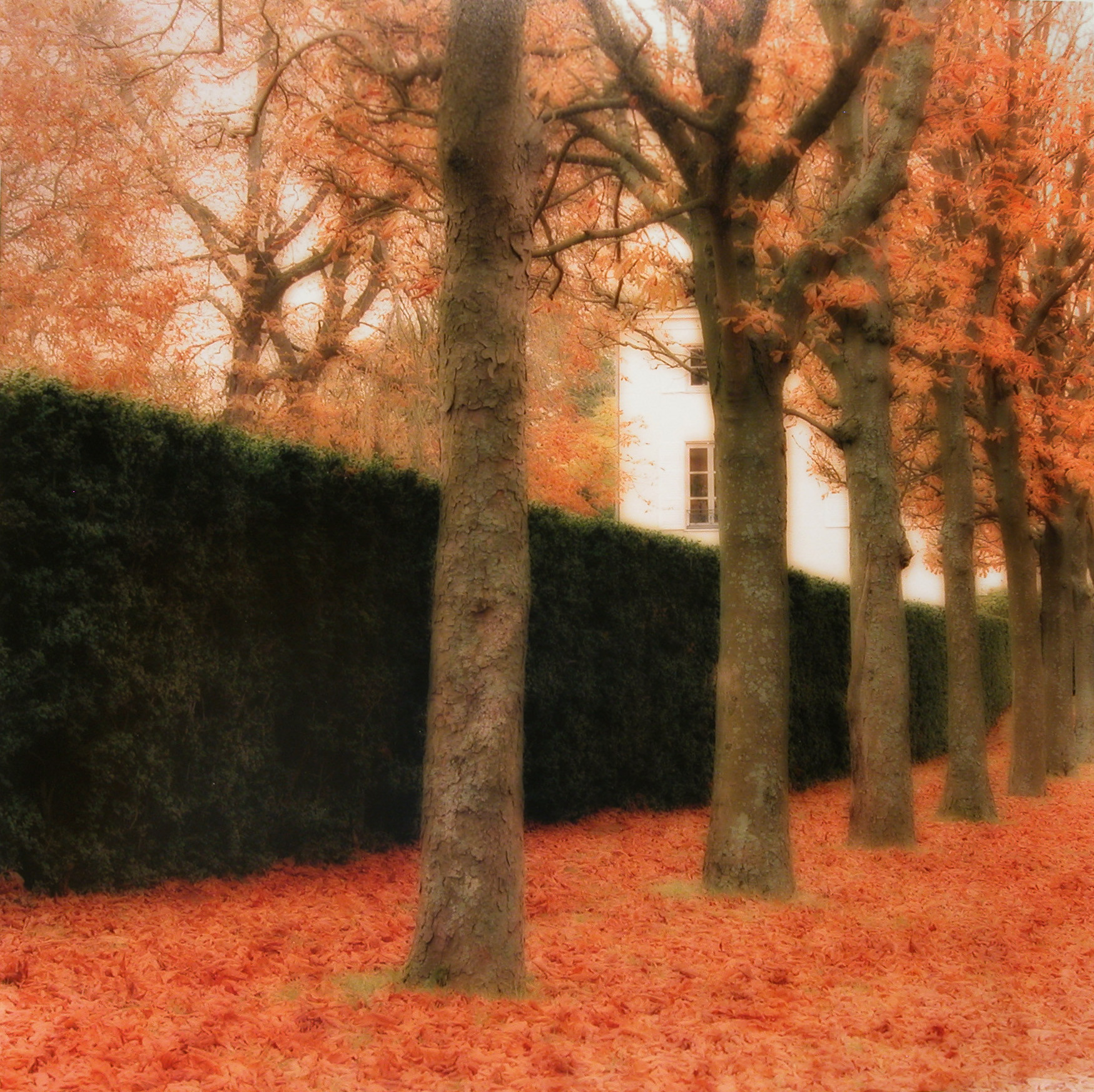 Parc de Sceaux, France (10-08-33c-4)
