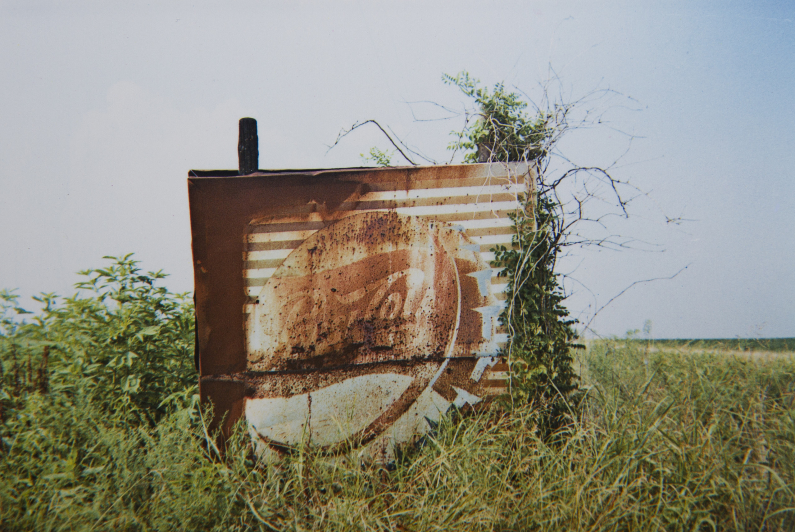 Pepsi Cola Sign in Landscape- Near Uniontown, Alabama