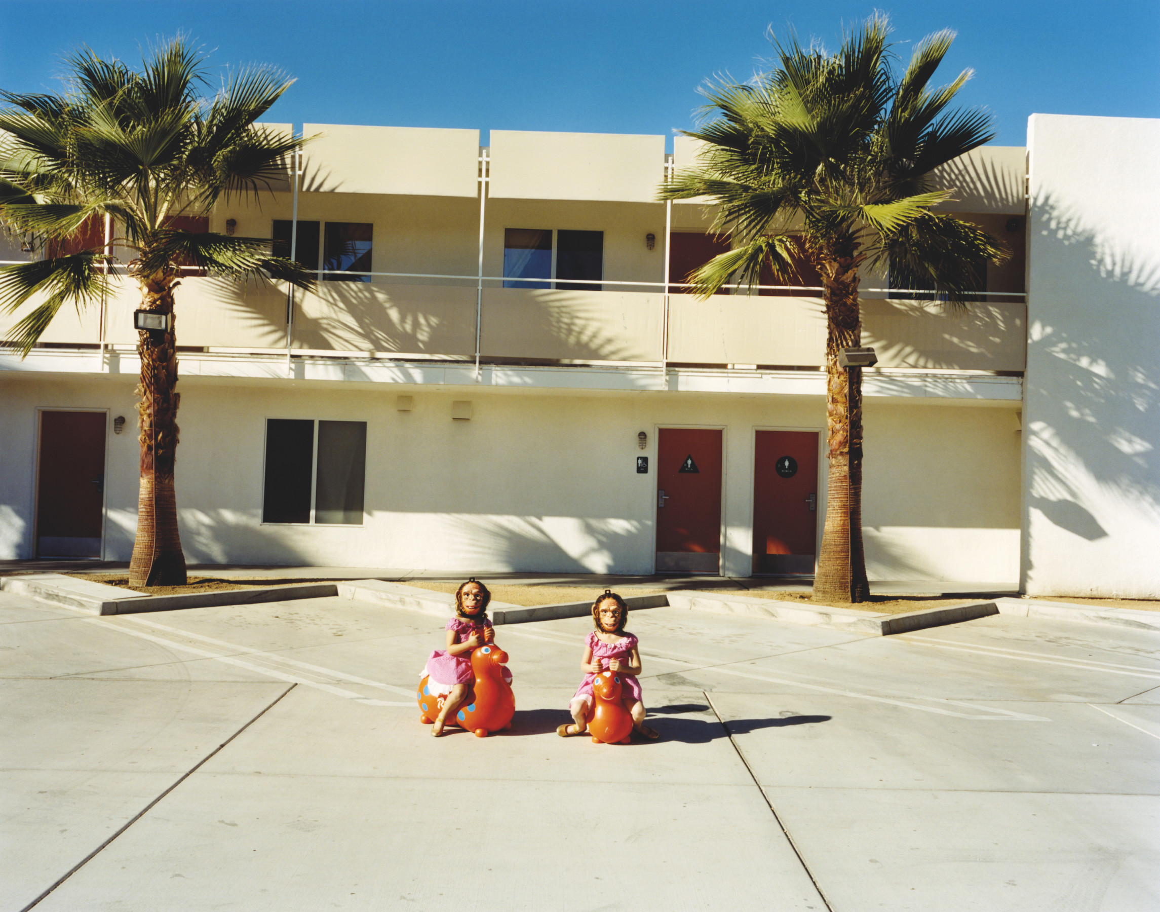 Untitled (Tree Twins)