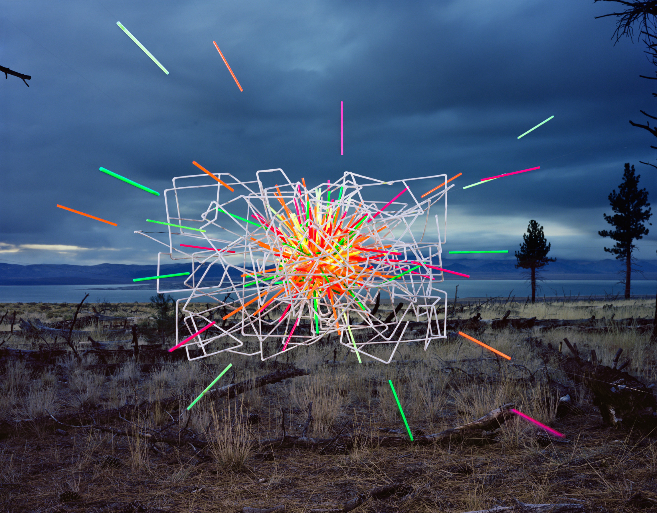 Straws no. 4, Mono Lake, California