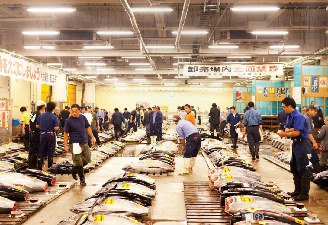 Todd Selby, The Fresh Tuna Auction at Tsukiji Market, 2011