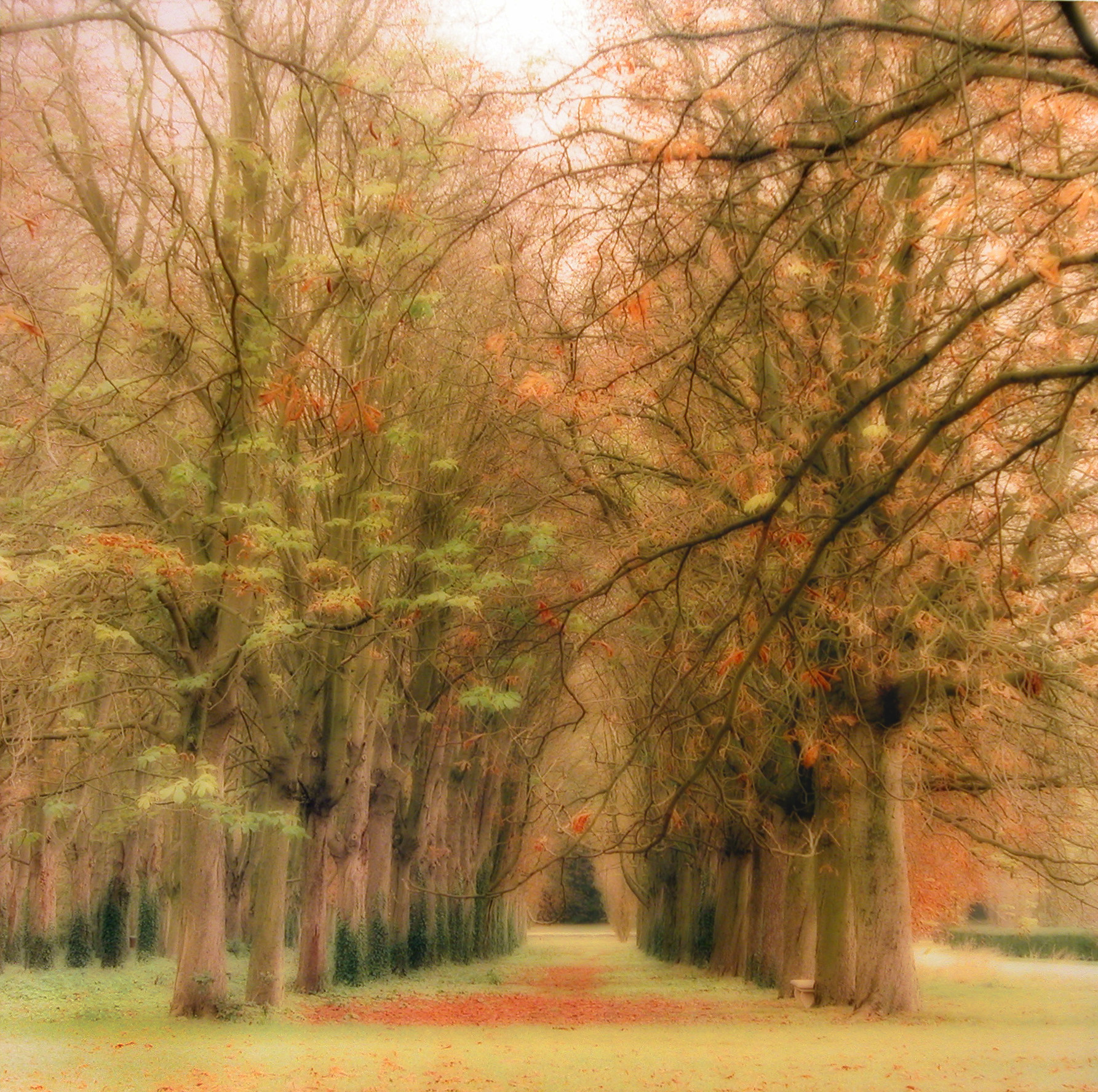 Parc de Sceaux, France (10-08-17c-11 )