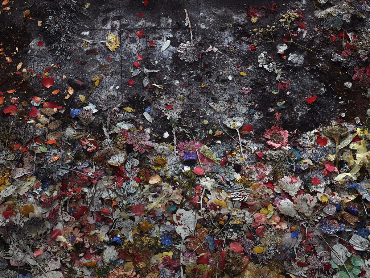 Flowers for Lisa #15