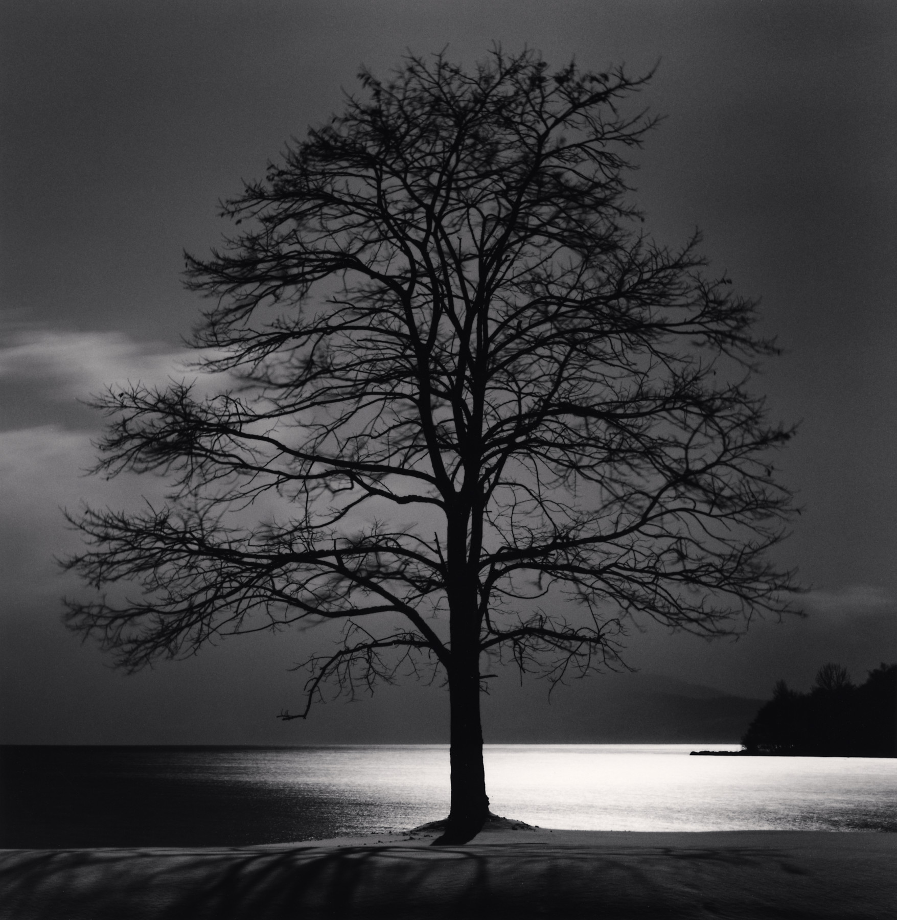 Toya Lake Tree, Sobetsu, Hokkaido, Japan
