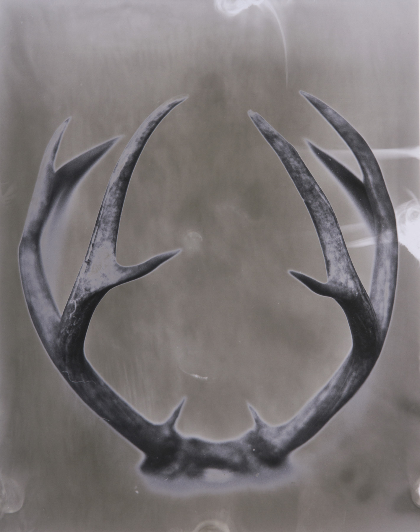 Antlers