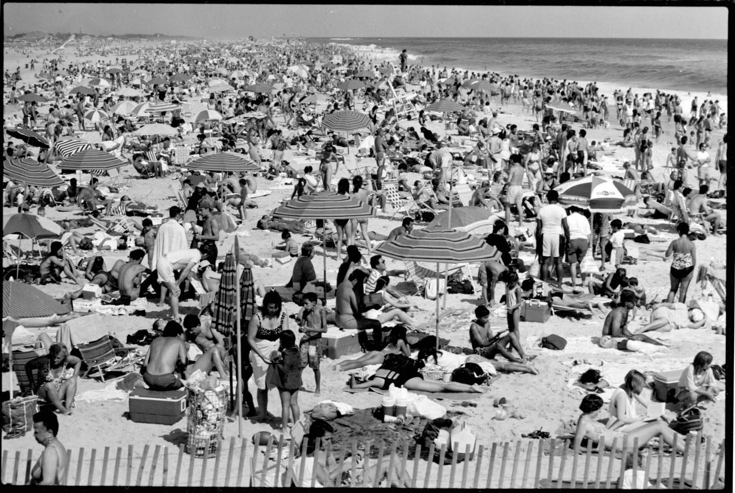 Crowd: Jones Beach