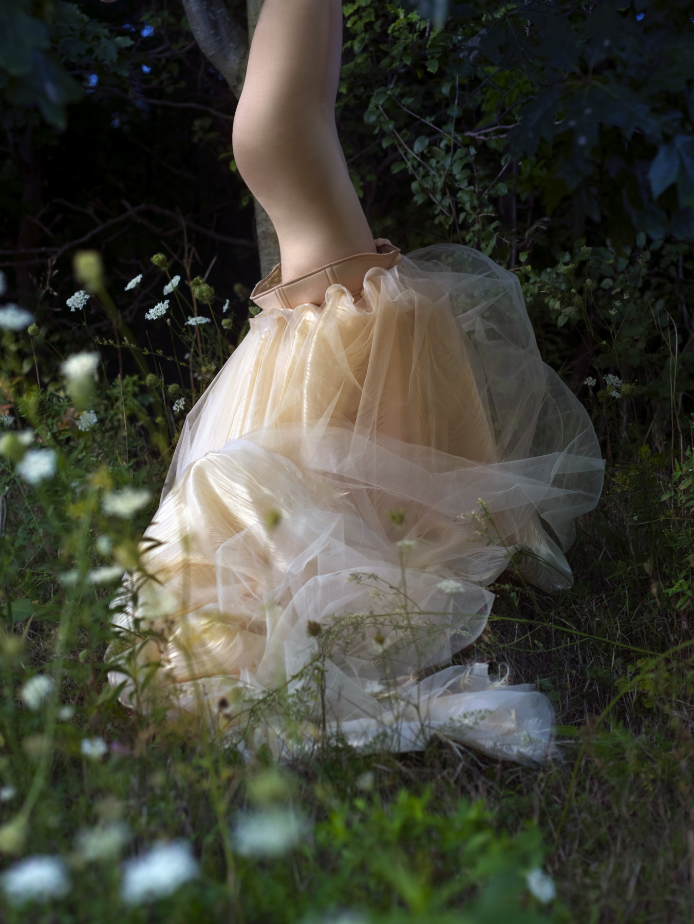 Untitled #10, The Garden Document