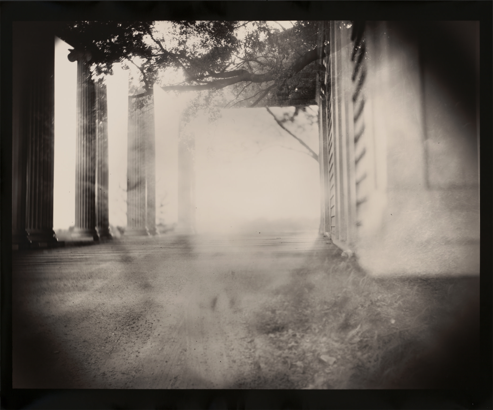 Sally Mann: Untitled
